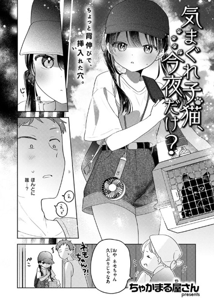 気まぐれ子猫、今夜だけ?